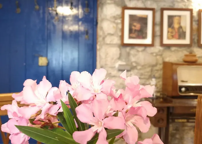 Apartments Skoljka *